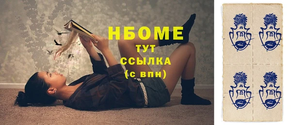 шишки Верея