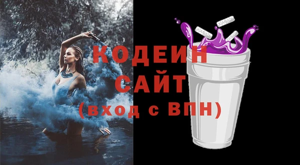 шишки Верея